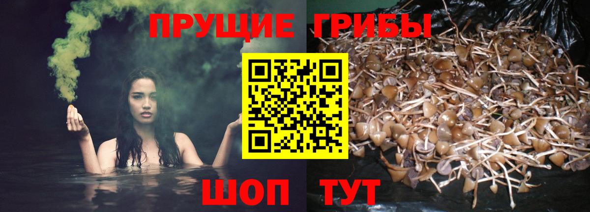 Дзержинск  Галлюциногенные грибы MAGIC MUSHROOMS  Вход с VPN 